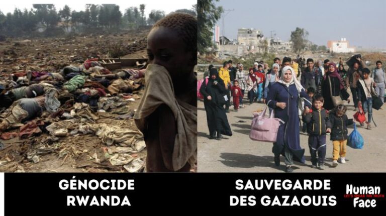 Désinformation Synchronisée Les Faits Contre la Propagande